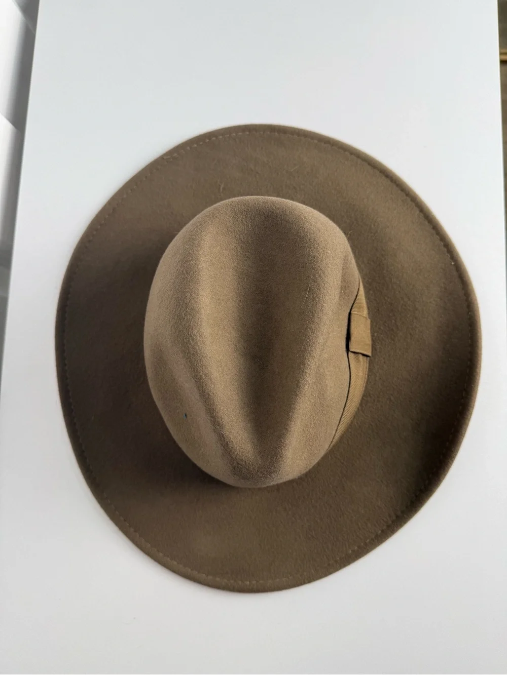 Madewell x Biltmore 100% Wool Wide Brim Fedora Hat